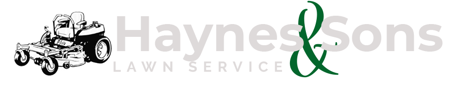Haynes & Sons light logo