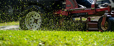 Closeup of lawn mower